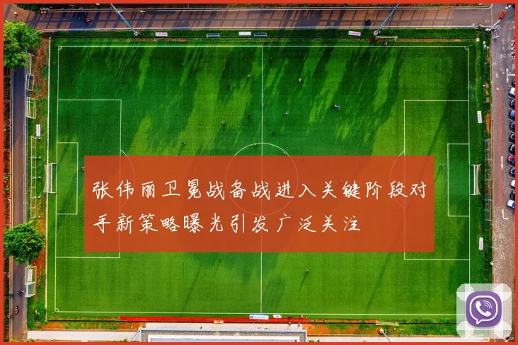 张伟丽卫冕战备战进入关键阶段对手新策略曝光引发广泛关注